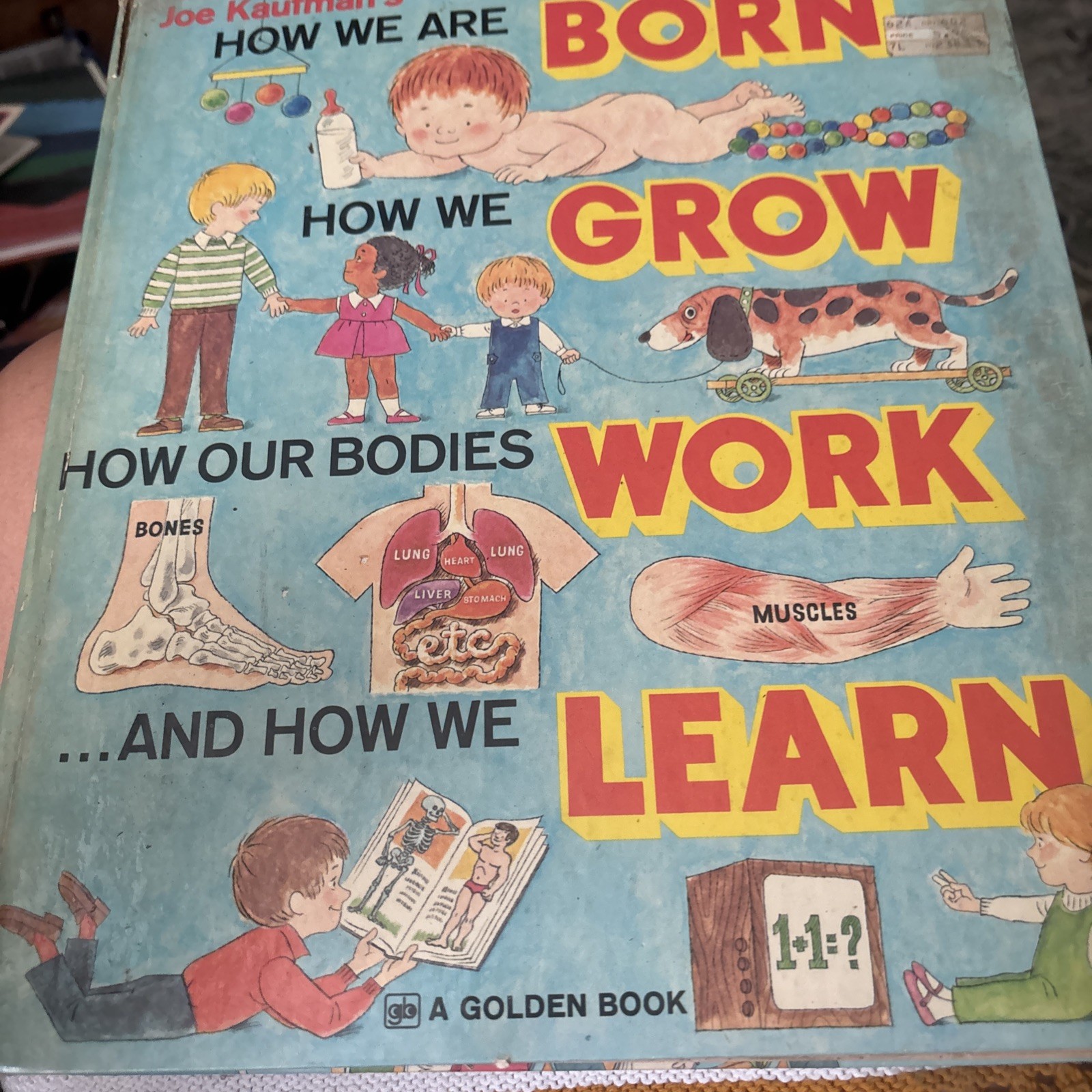 How we are Born, How we Grow, How our Bodies Work and How we Learn How we are Born, How we Grow, How our Bodies Work and How we Learn