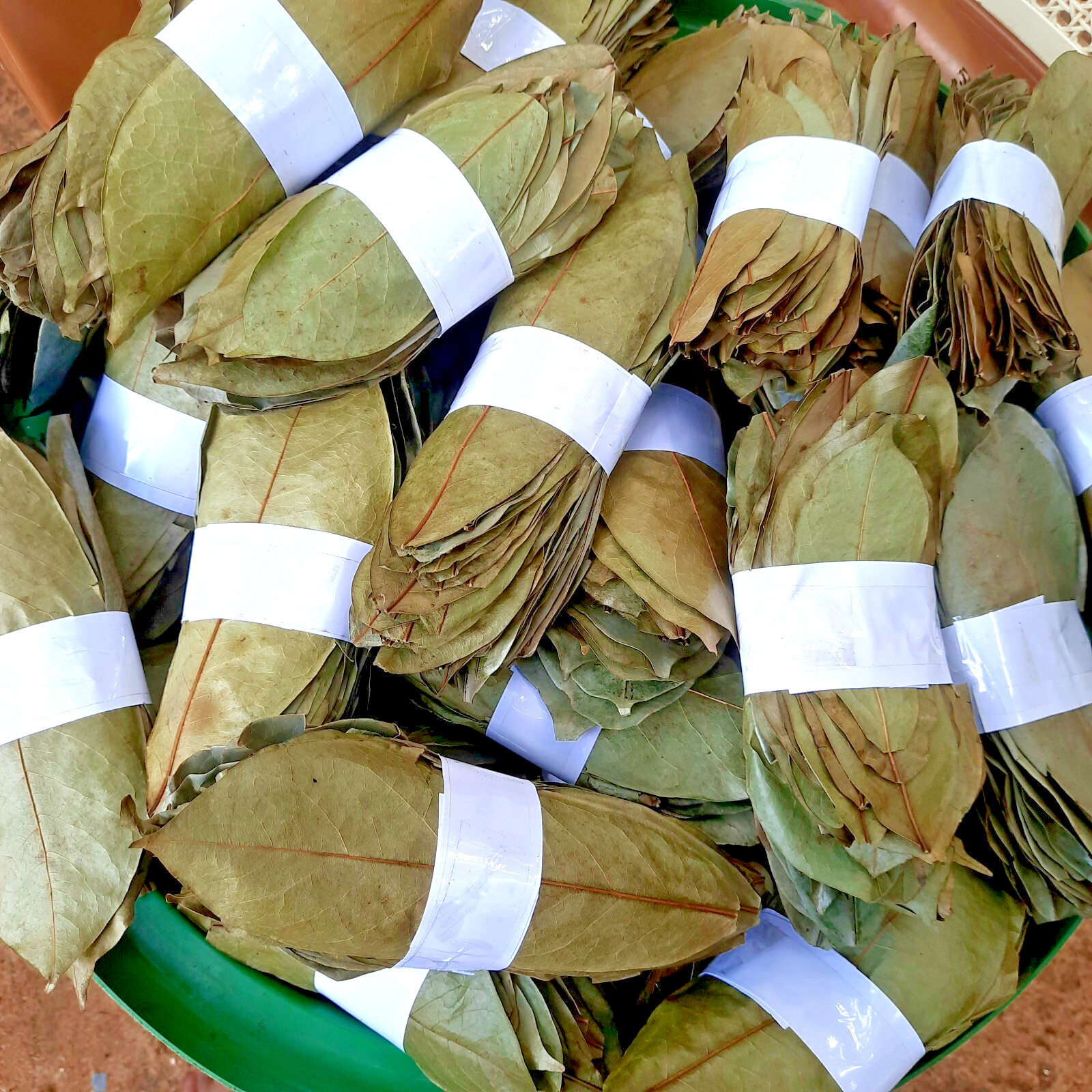 800+ ORGANIC Dried Soursop Leaves Herbal Tea Annona Hojas De Guanabana Graviola