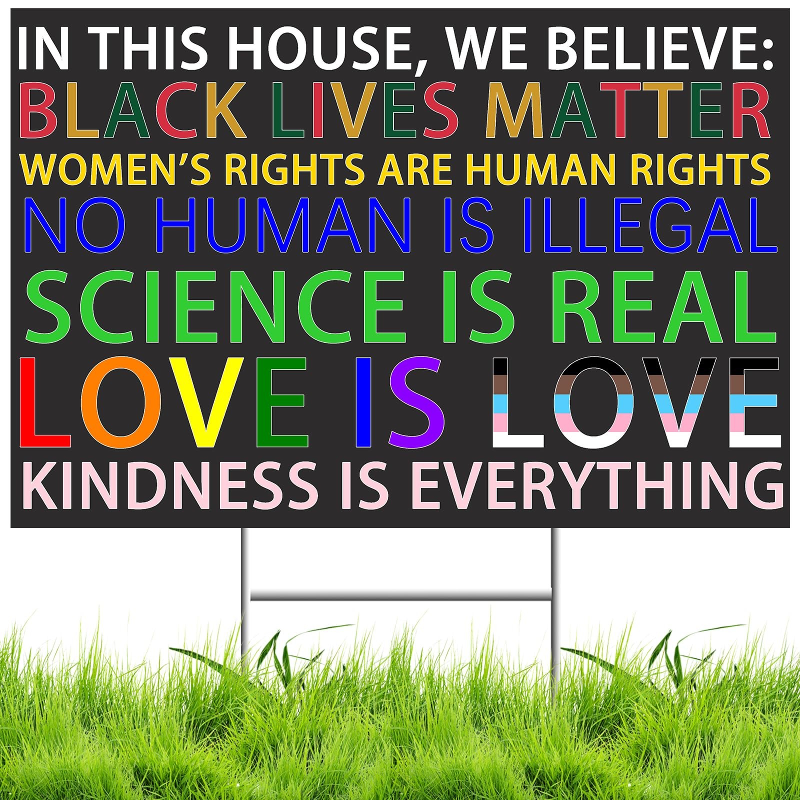 Qiyeyeye In This House We Believe Yard Sign, 18x12 Qiyeyeye In This House We Believe Yard Sign, 18x12