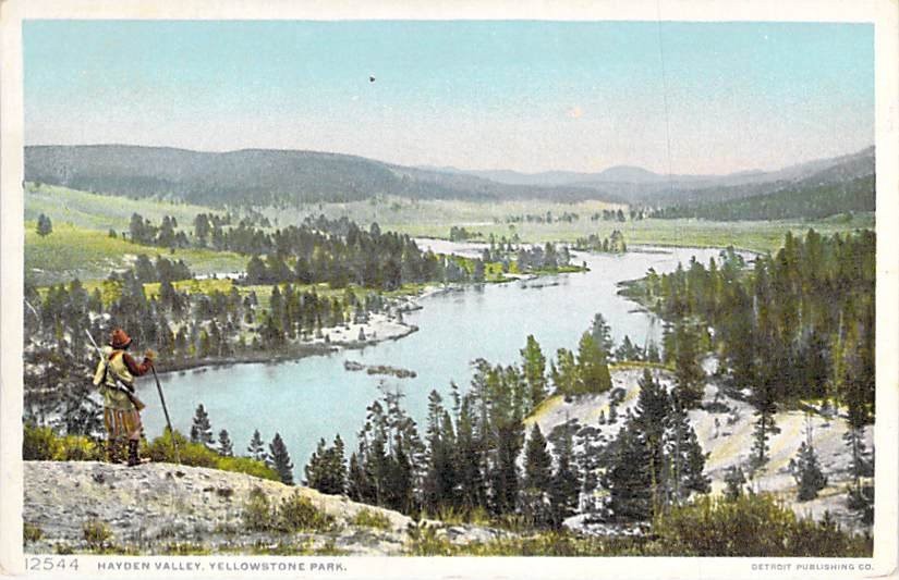 Hayden Valley Yellowstone Park Phostint Postcard Detroit Publishing