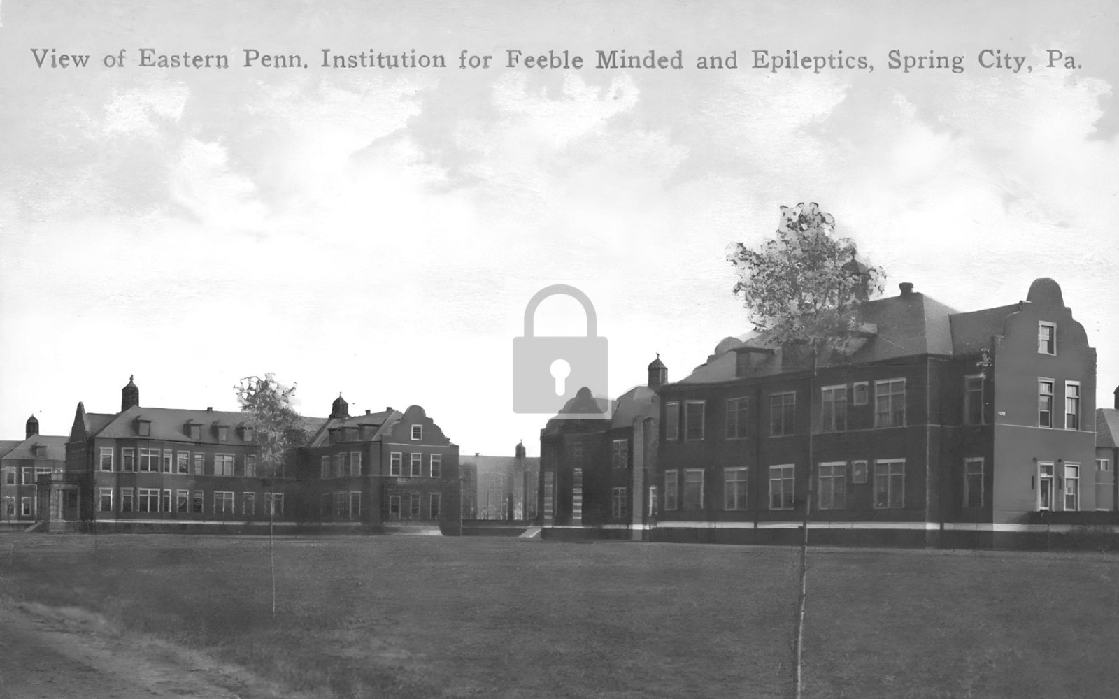 Pennhurst State School Hospital Insane Asylum Spring City PA - Reprint