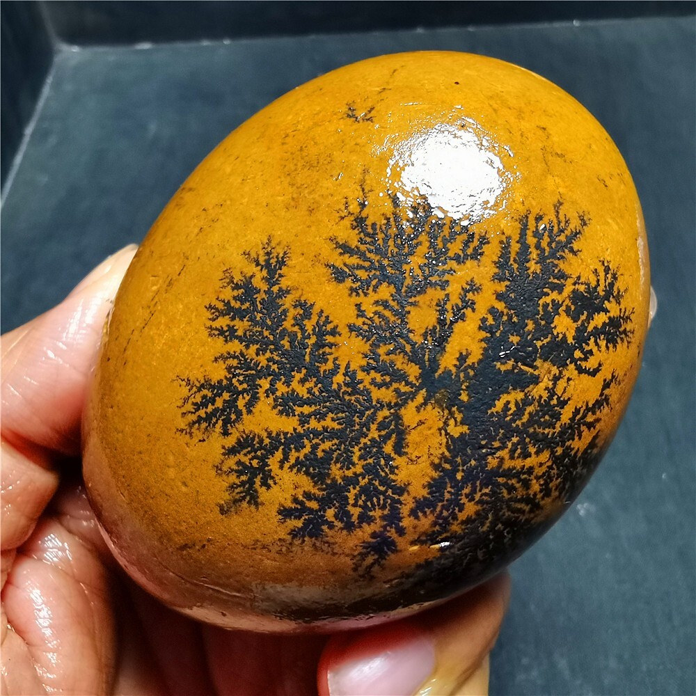 299.4G Natural Treeline China Mongolia 69A75