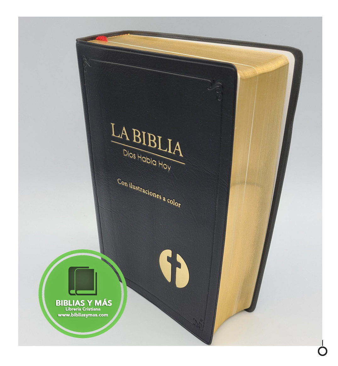 BIBLIA CATOLICA DIOS HABLA HOY ILUSTRADA VINIL NEGRO