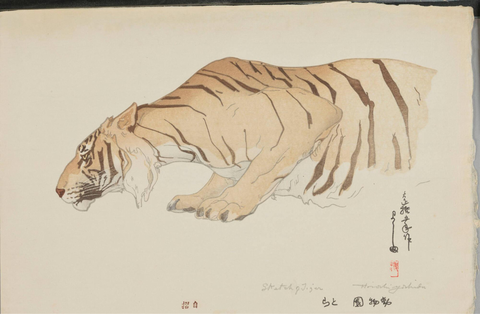 Hiroshi Yoshida Tiger 1926 Japanese Shin-Hanga Woodblock Print