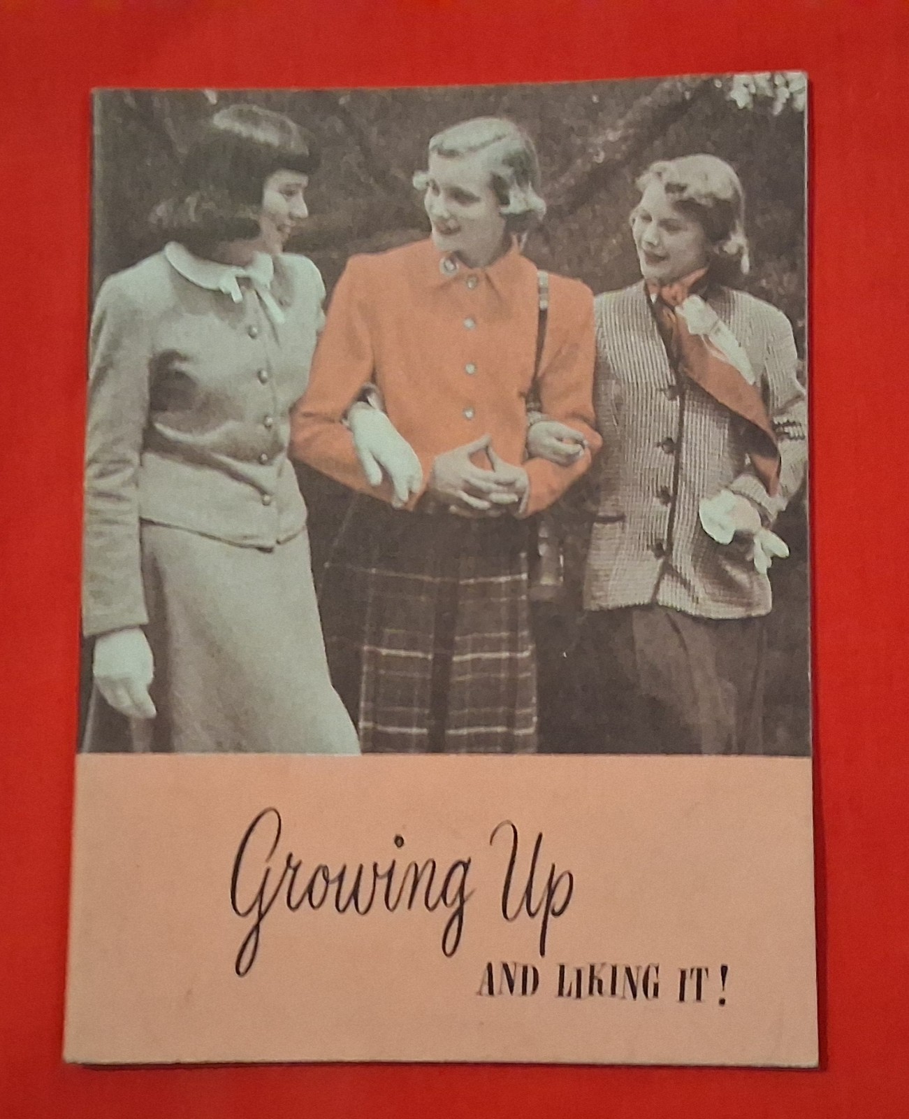 Vintage 1951 Modess Growing Up and Liking it booklet Vintage 1951 Modess Growing Up and Liking it booklet