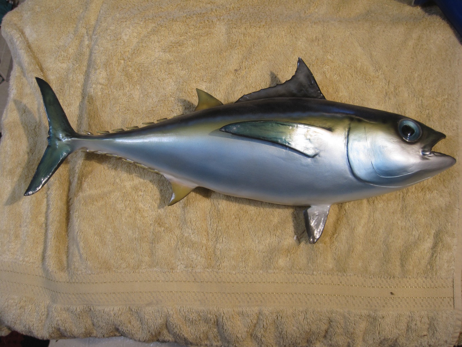  Vintage Tuna Mount