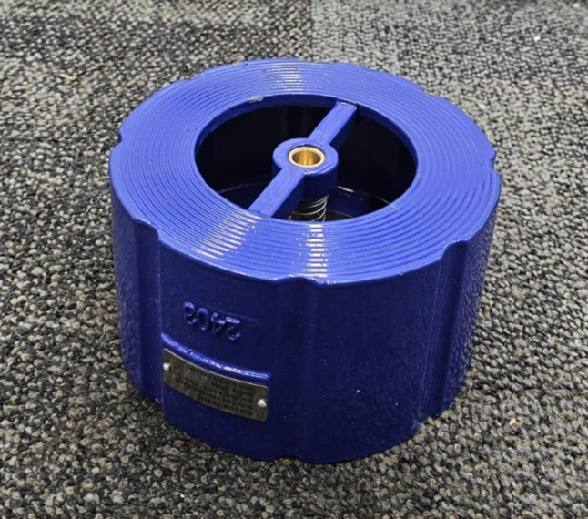 FNW FNW681 Cast Iron Wafer Style Silent Check Valve 4\