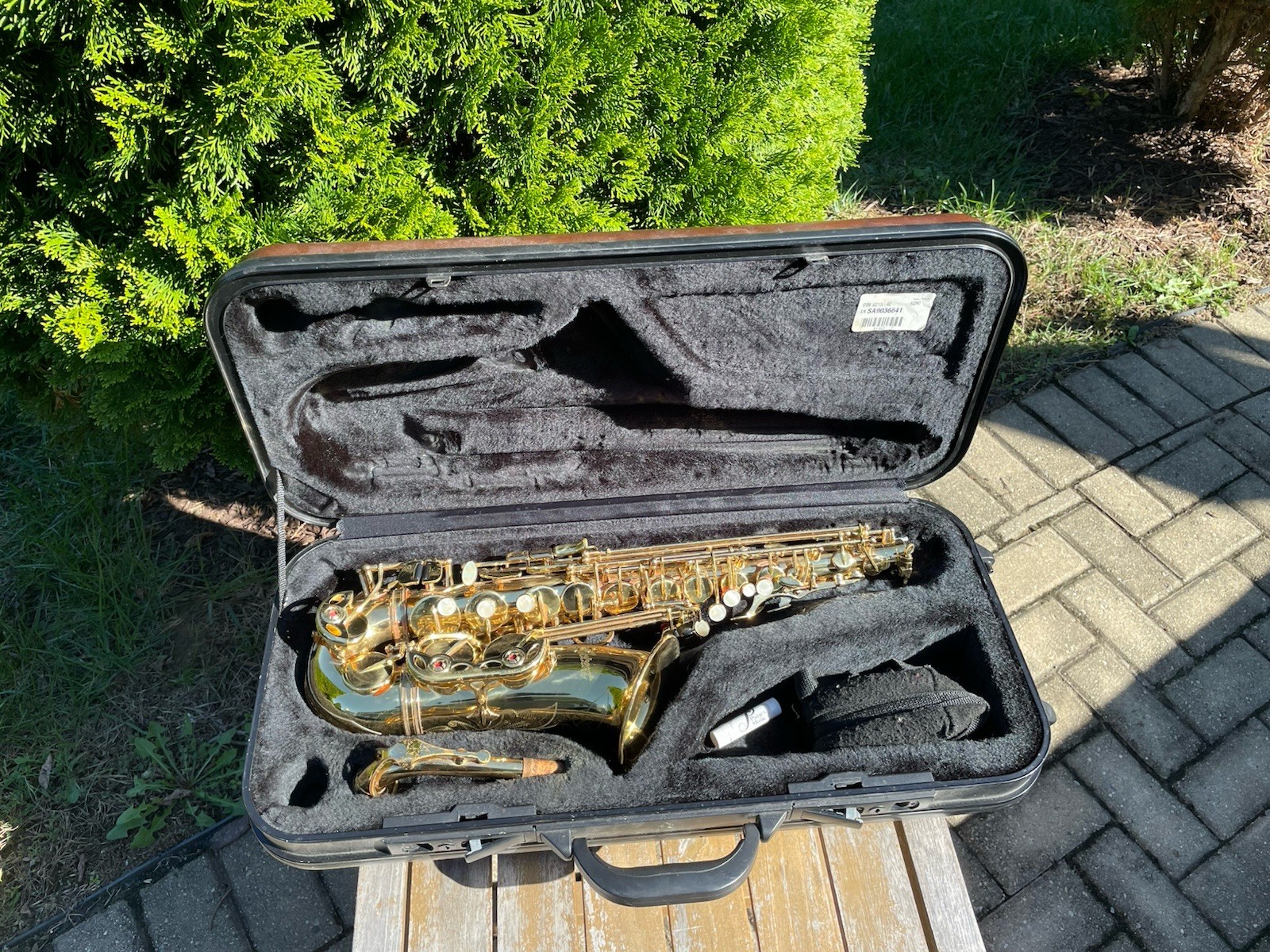 Accent AS710L Alto Saxophone Student Sax With Original Case 