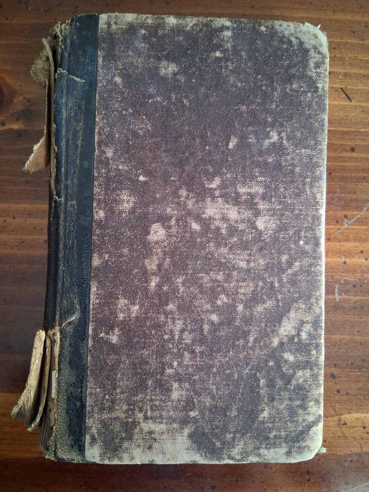 Neue Zionsharfe Eine Sammlung von Liedern und Gesaengen 3. Auflage 1869 German