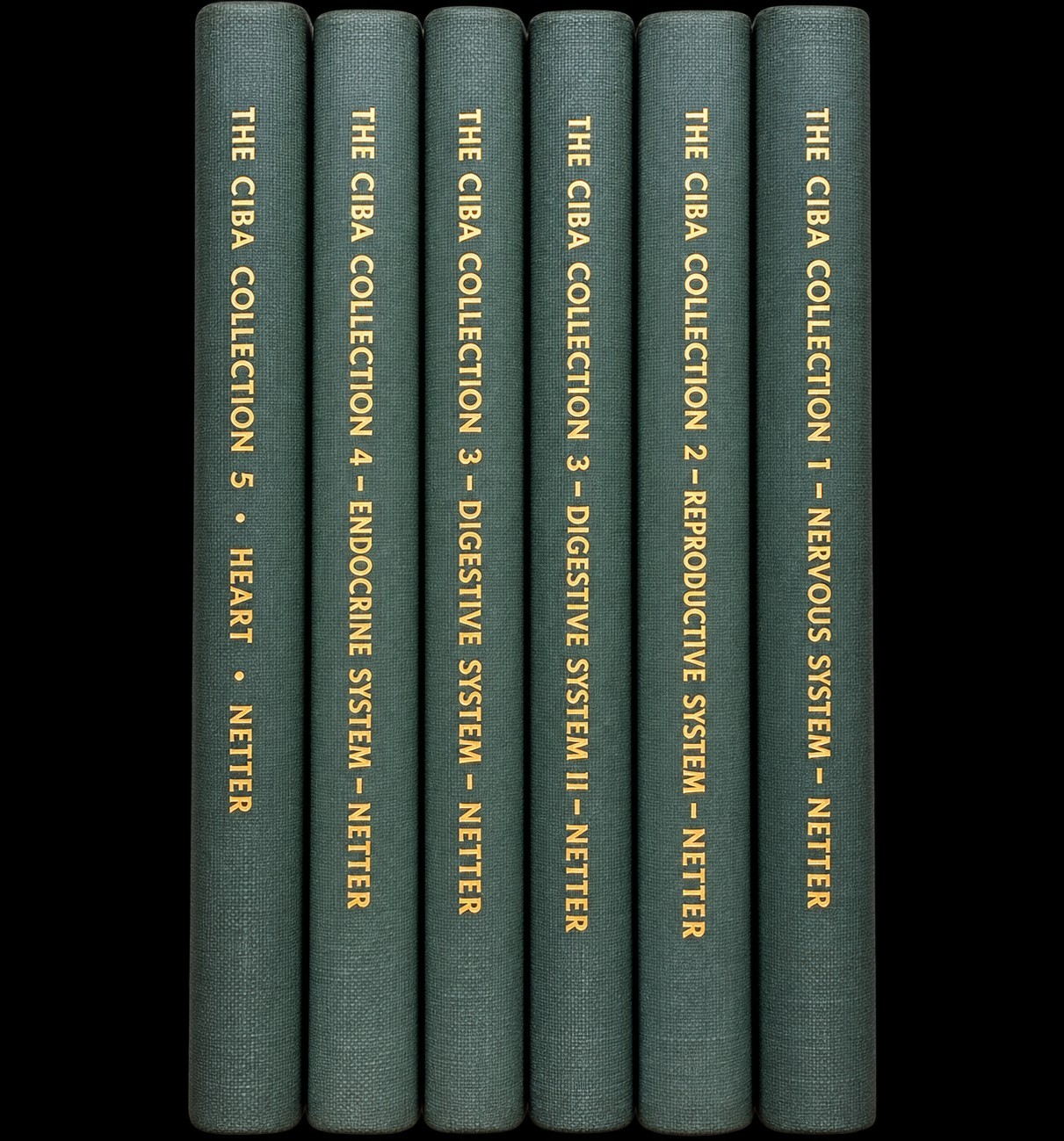 Frank H. Netter The Ciba Collection of Medical Illustrations -Seven Volumes Frank H. Netter The Ciba Collection of Medical Illustrations -Seven Volumes