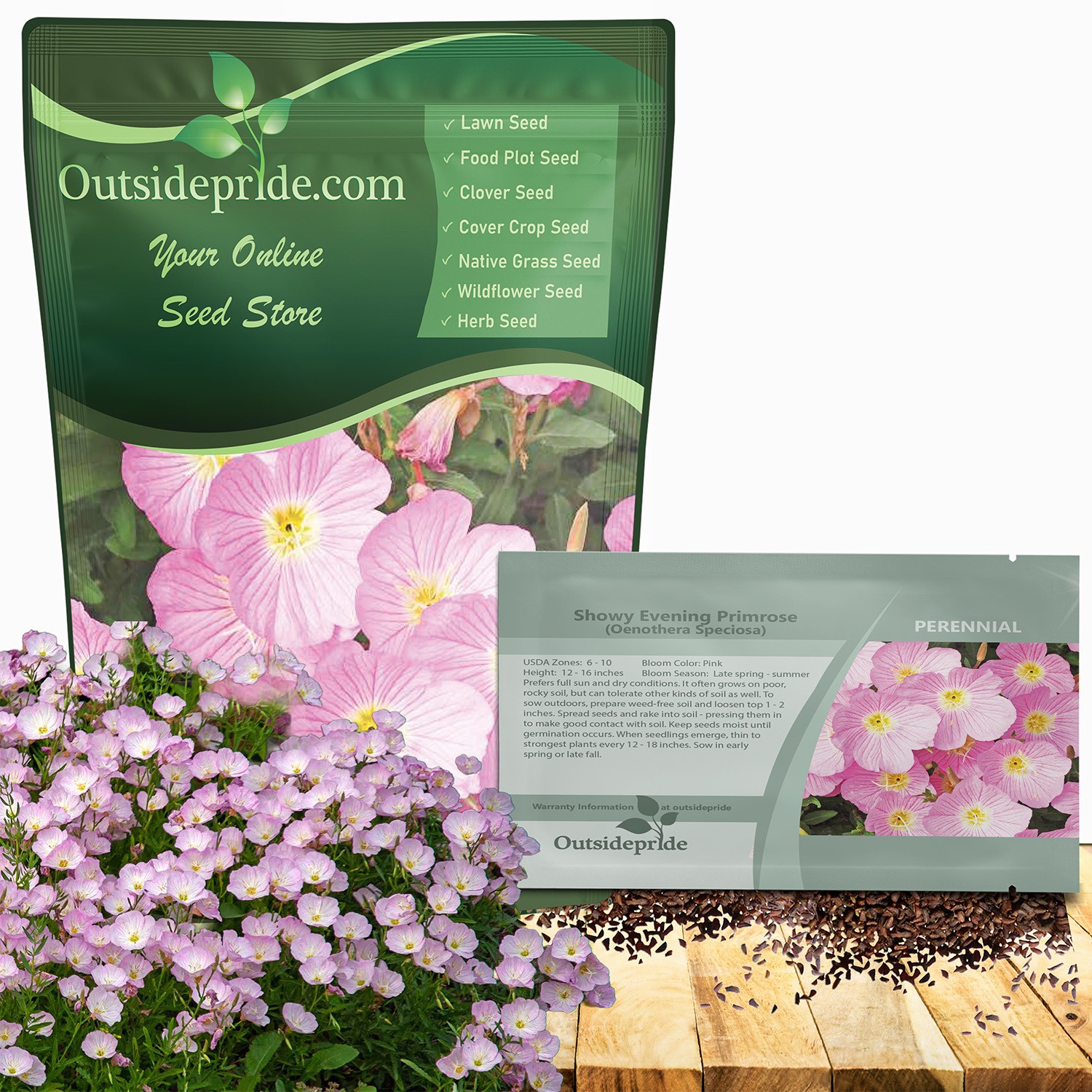 1 LB Pink Primrose Seeds For Planting - Showy Evening Primrose Flower Seed
