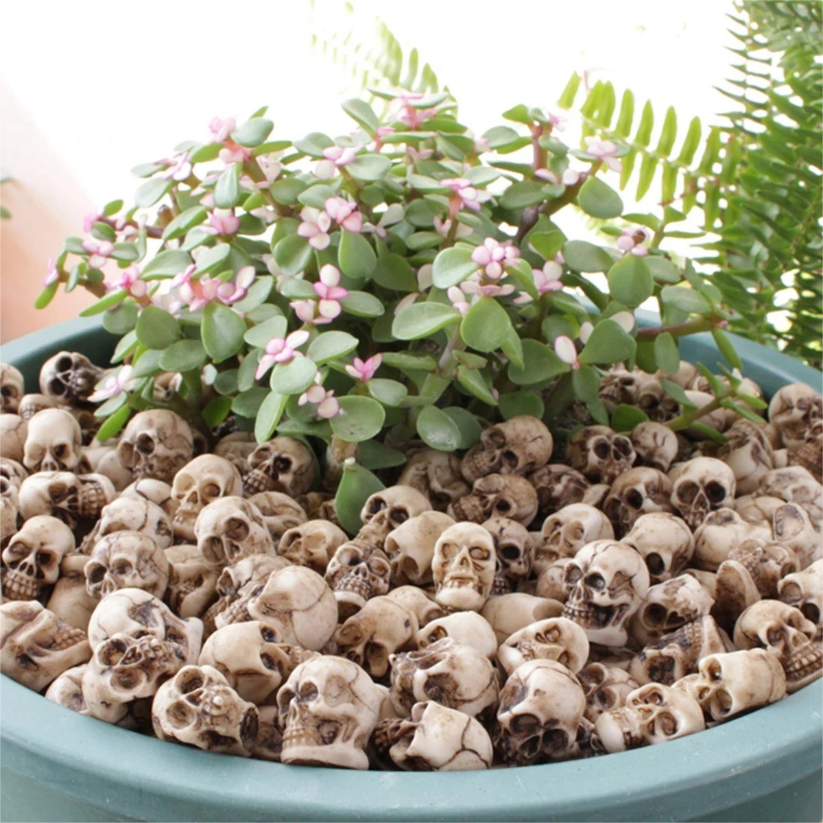 20Pcs Mini Skull Figure Collectable Halloween Miniature Skulls Heads