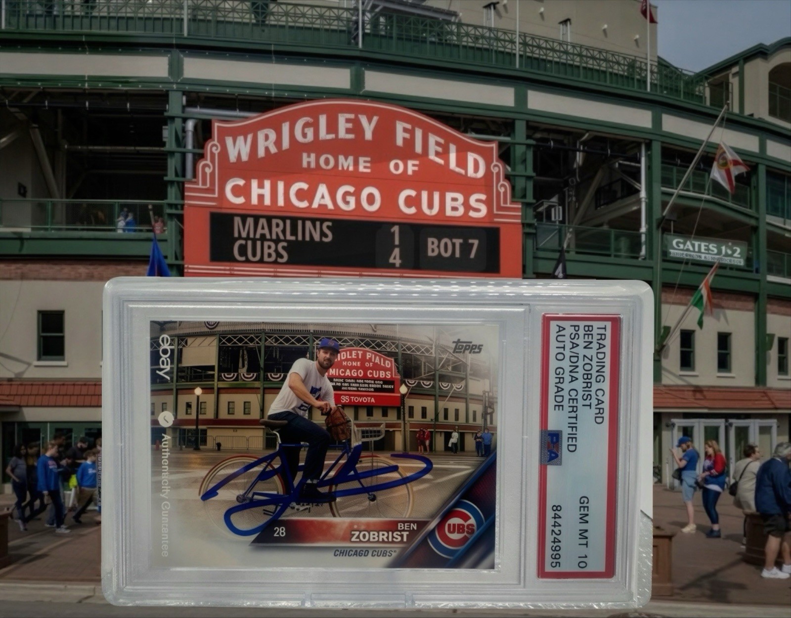 Topps 2016 Topps Now Ben Zobrist Auto PSA 10 Cubs. 2016 World Series MVP Topps 2016 Topps Now Ben Zobrist Auto PSA 10 Cubs. 2016 World Series MVP