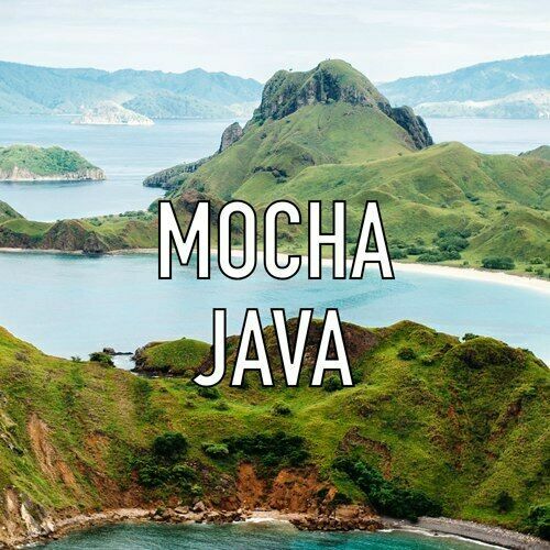 Mocha Java Arabica Coffee Beans Medium & Dark Roast Mixture 5lb Bulk Blend 