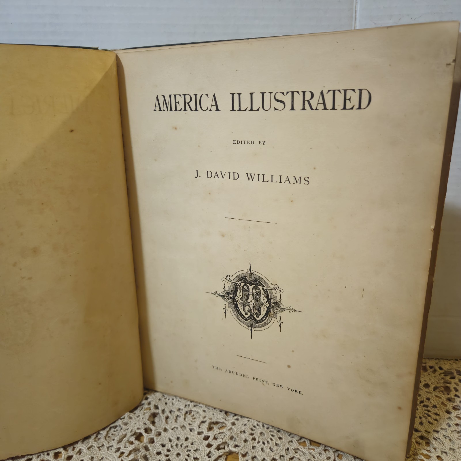 1880 Antique America Illustrated J David Williams Americana Engravings HC Book