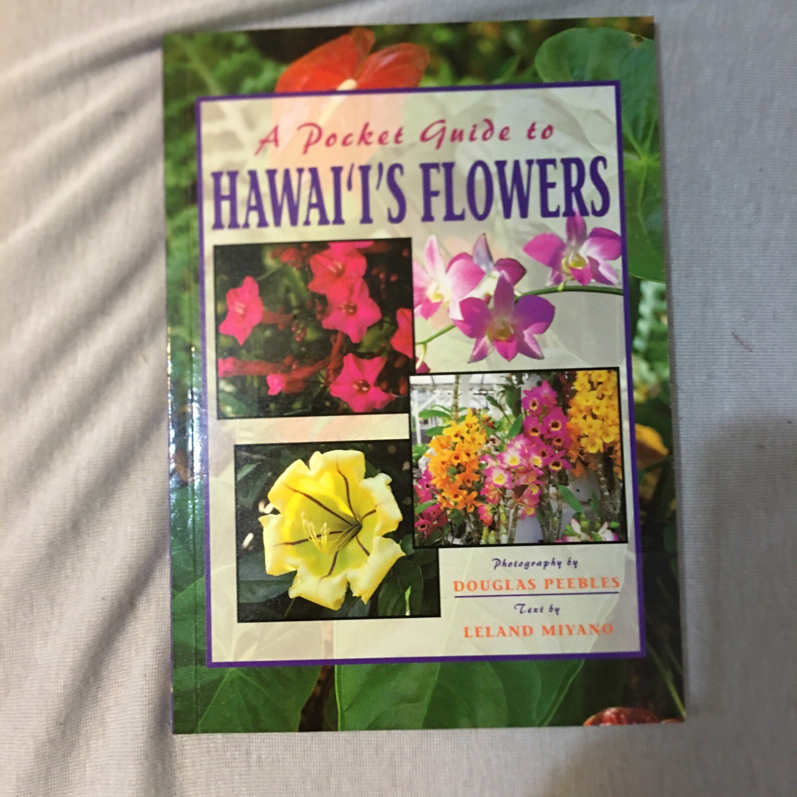 A Pocket Guide to Hawaii\'s Flowers by Leland Miyano (1997, Trade Paperback) 656 A Pocket Guide to Hawaii\'s Flowers by Leland Miyano (1997, Trade Paperback) 656