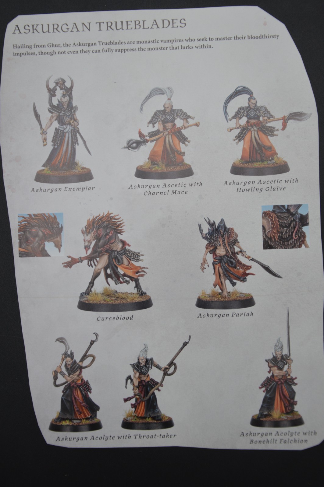 Warhammer AoS Soulblight Gravelords Askurgan Trueblades NEW on SPRUE