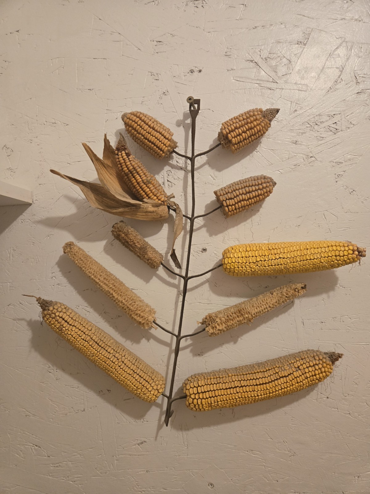 Antique corn dryer squirrel feeder