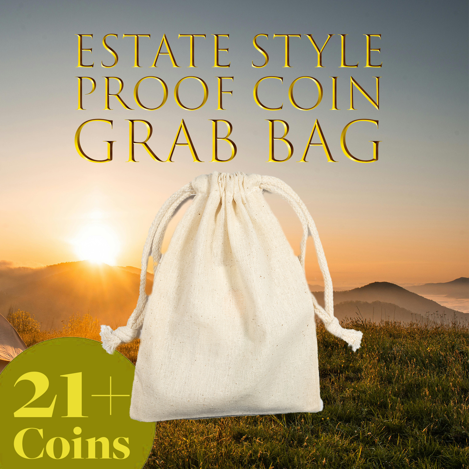 Estate Coin Grab Bag 21+ Coins: Silver, Proof, Wheat, Buffalo – Mystery Lot