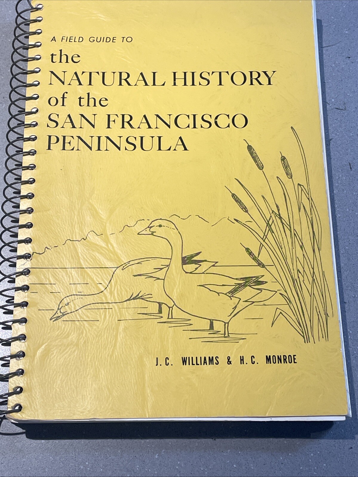 THE NATURAL HISTORY OF THE SAN FRANCISCO PENNISULA WILLIAM & MOORE 1967 THE NATURAL HISTORY OF THE SAN FRANCISCO PENNISULA WILLIAM & MOORE 1967