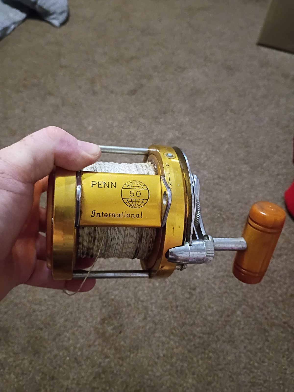 PENN International 50 Fishing Reel Estate Find