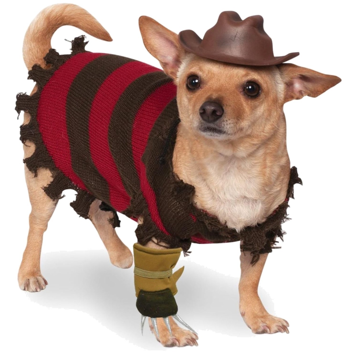 Official Freddy Krueger Pet Costume for Large Breeds