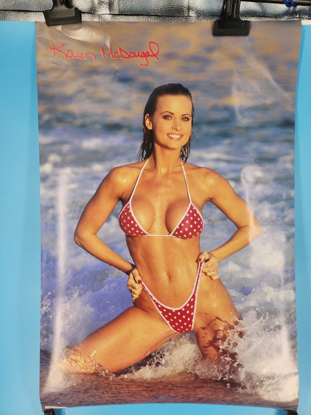 KAREN MCDOUGAL 1998 Pinup Poster Poster 22.25x34.5” Model Actress Man Cave KAREN MCDOUGAL 1998 Pinup Poster Poster 22.25x34.5” Model Actress Man Cave
