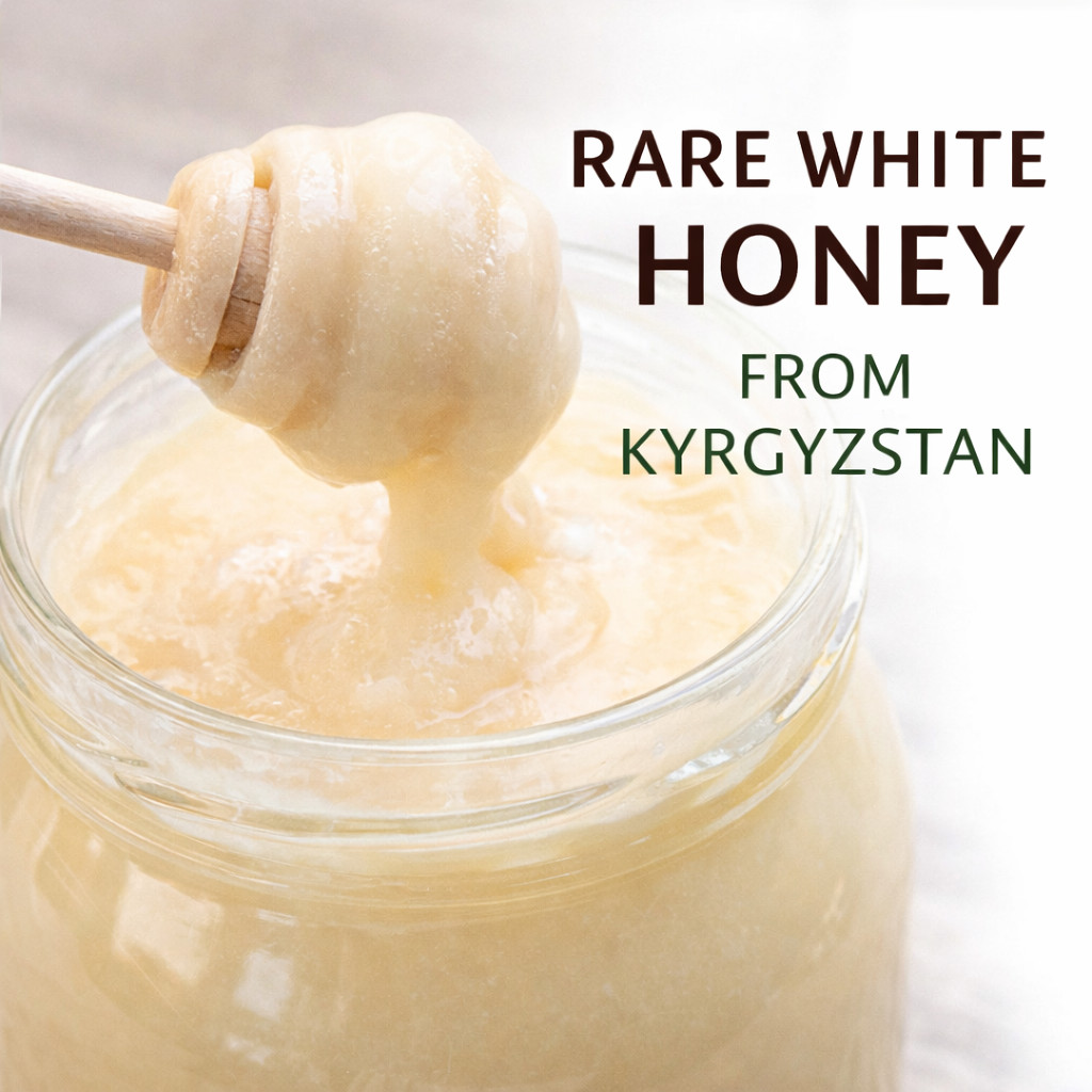 Raw White Honey Creamy Sainfoin Kyrgyzstan Pure Natural Rare عسل ابيض قرغيزستان