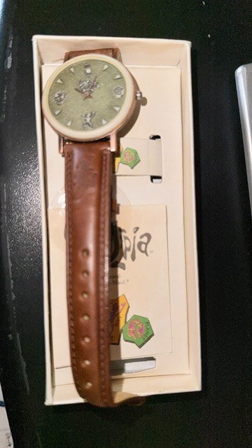 Fossil Fruitopia Rare 90's New Watch. Green face and Dark brown leather band.
