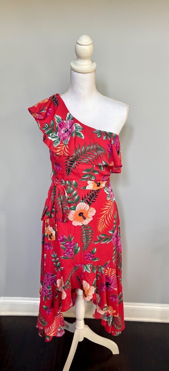 Francesca\'s Women\'s Dress One Shoulder Ruffle Hi-Low Size S Red Floral NWT