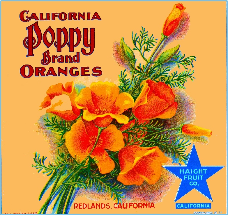 Redlands California Poppy #1 Orange Citrus Fruit Crate Label Vintage Art Print Redlands California Poppy #1 Orange Citrus Fruit Crate Label Vintage Art Print