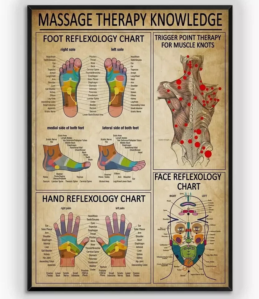 Reflexology Chart, Massage Therapy Knowledge Poster, Foot Trigger Point Wall Art
