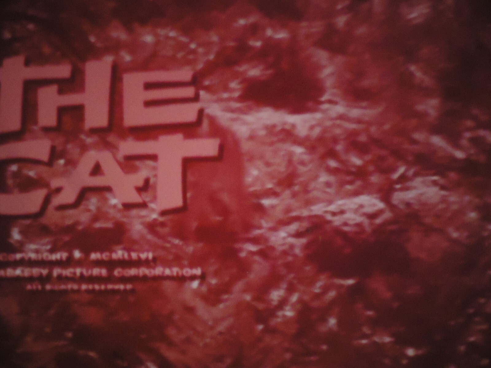 16mm The Cat Peggy Ann Garner Roger Perry Shug Fisher Barry Coe Richard Webb 16mm The Cat Peggy Ann Garner Roger Perry Shug Fisher Barry Coe Richard Webb