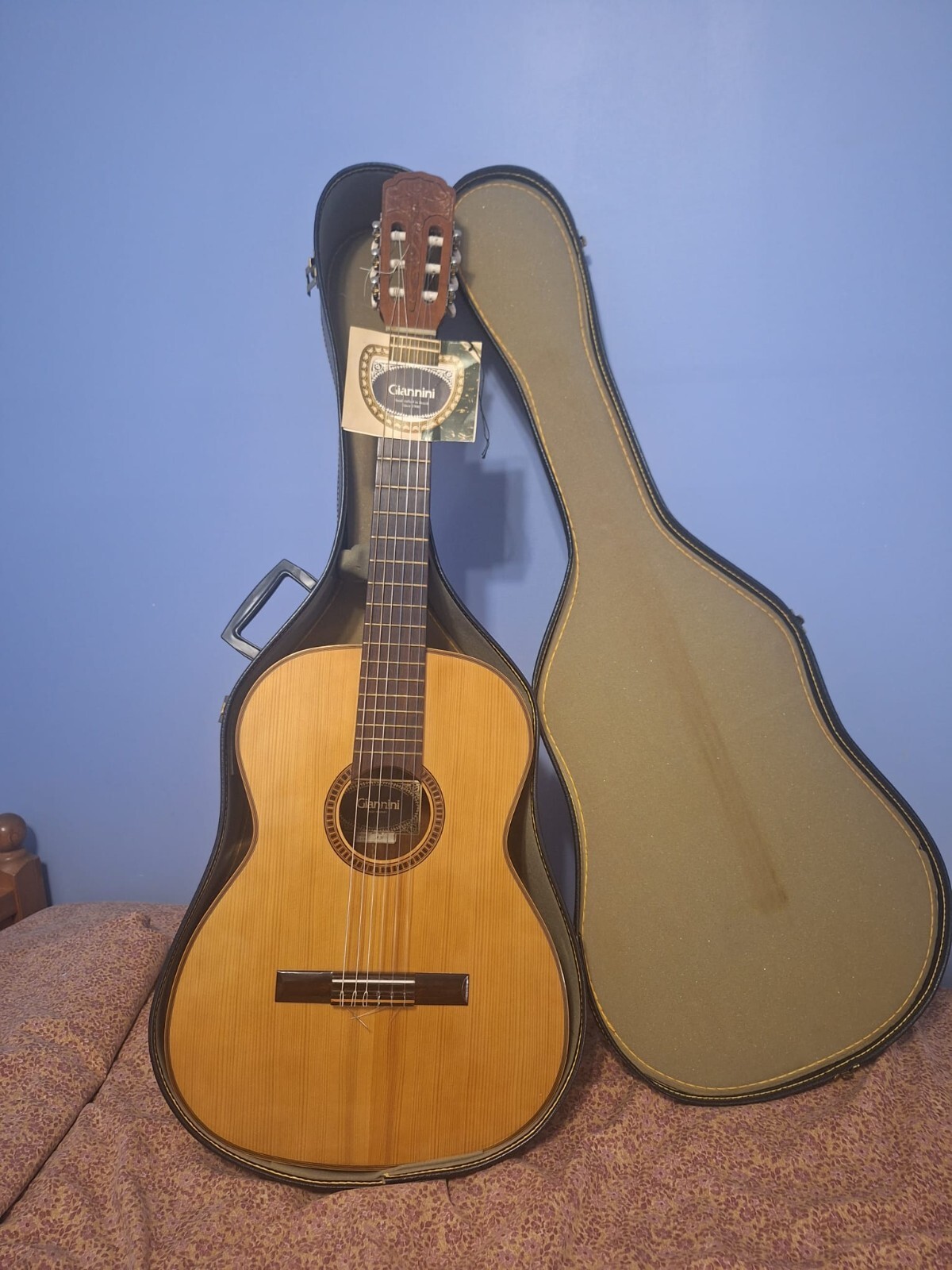 Giannini AWN 31 Giannini AWN 31