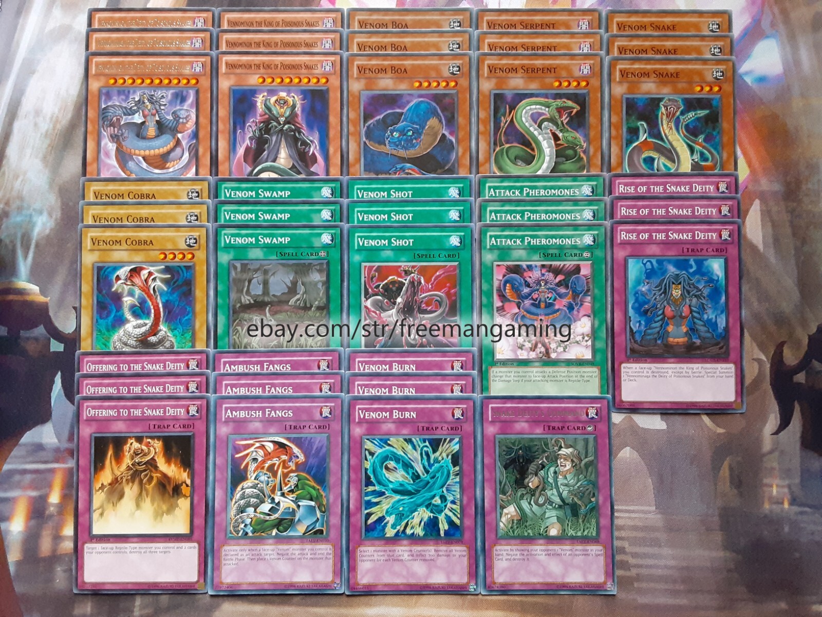 Yugioh Vennominaga The Deity of Poisonous Snakes 40 Card Deck Venom Swamp Budget Yugioh Vennominaga The Deity of Poisonous Snakes 40 Card Deck Venom Swamp Budget