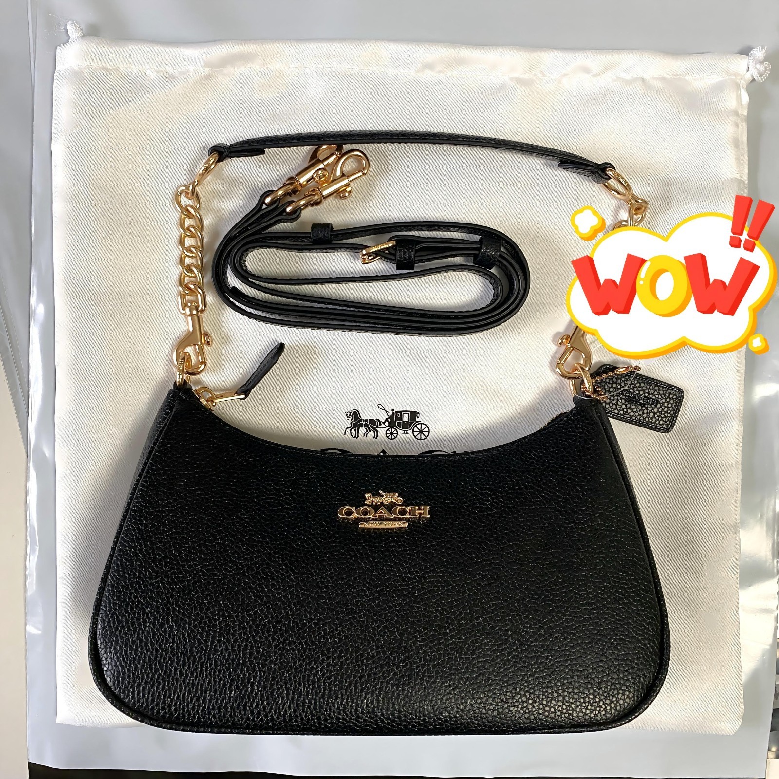 COACH CA209 TERI Shoulder Bag Hand Bag Black Refined Pebble Leather Outlet New
