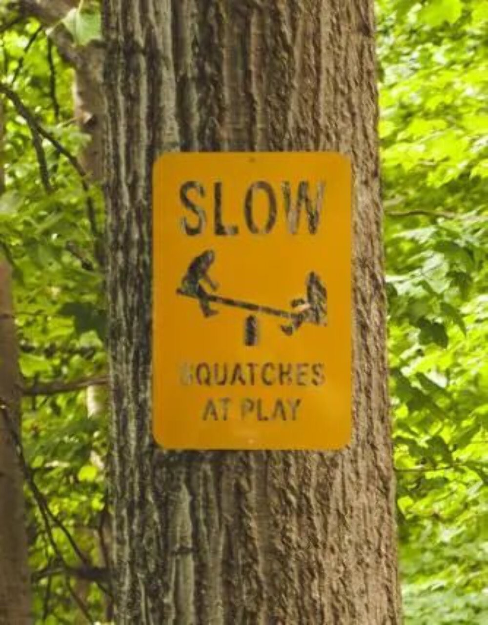 Yellow Warning Sign Squatches at Play - Fun Bigfoot Sign Made in USA