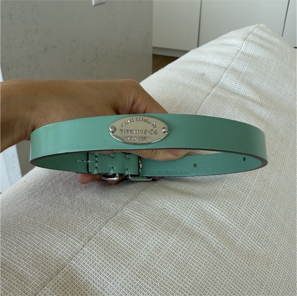 Tiffany & Co. Mint Green Leather Adjustable Dog Pets Collar Medium 