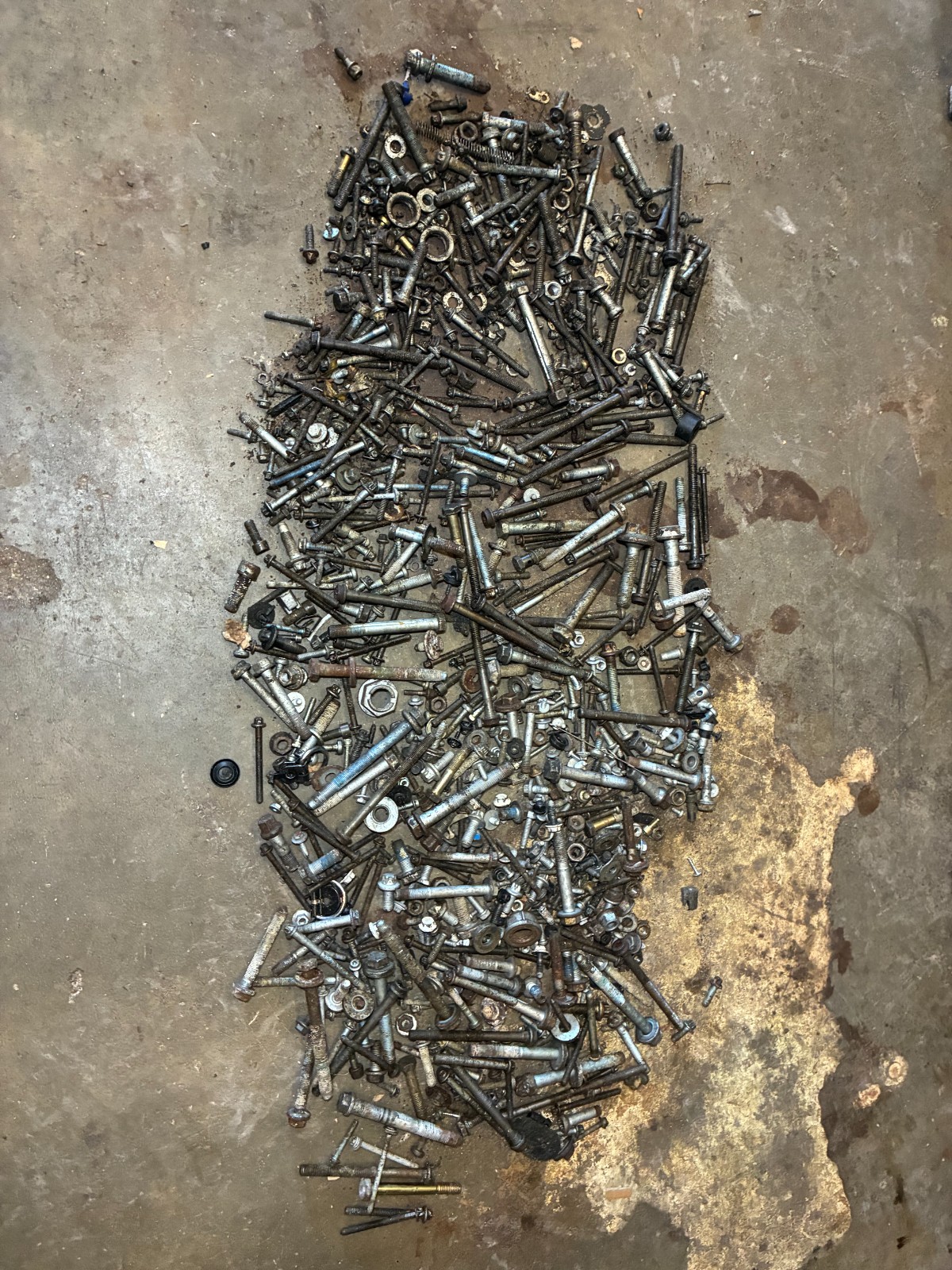 Hardware Nut Bolt Screw Automotive Lot Assortment Many German Cars Over 55lb Hardware Nut Bolt Screw Automotive Lot Assortment Many German Cars Over 55lb