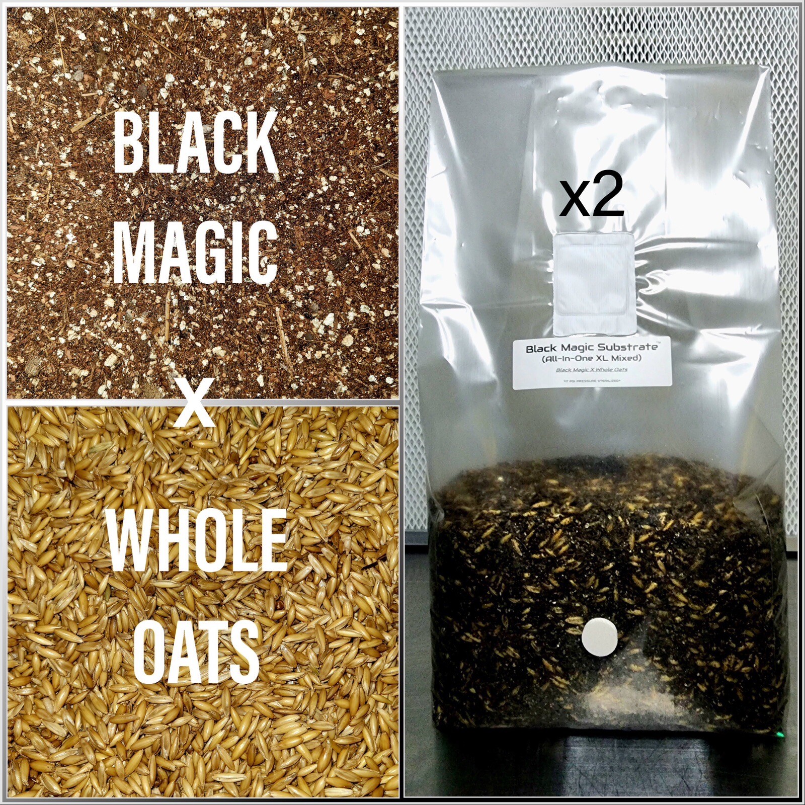 Premium Exotic Dung ALL-IN-ONE XL Mushroom Grow Kit 2 Pack Kit 6lbs Mixed Bag