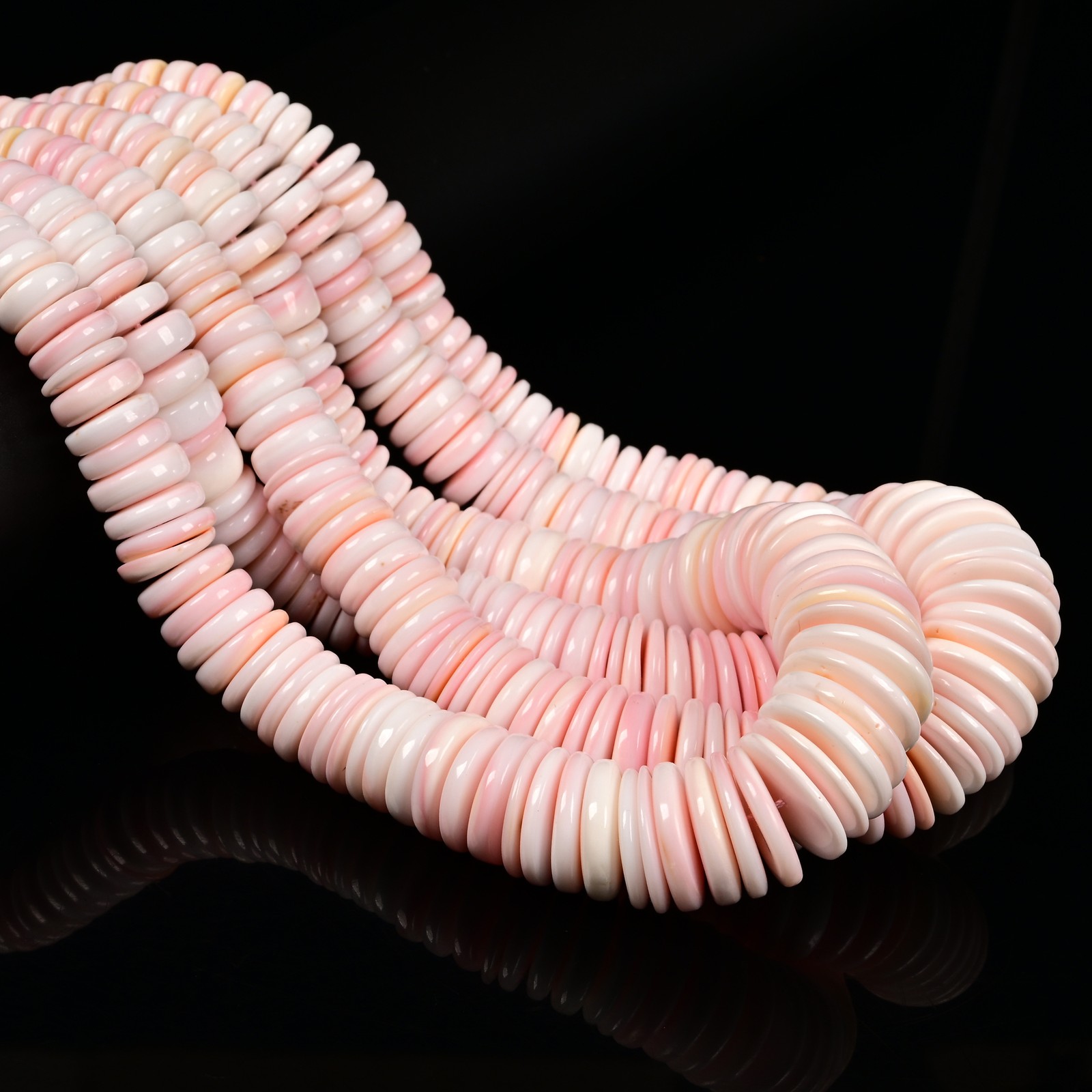 Pink Queen Conch Shell Graduated Rondelle Disc Beads 8mm to 20mm 15.5
