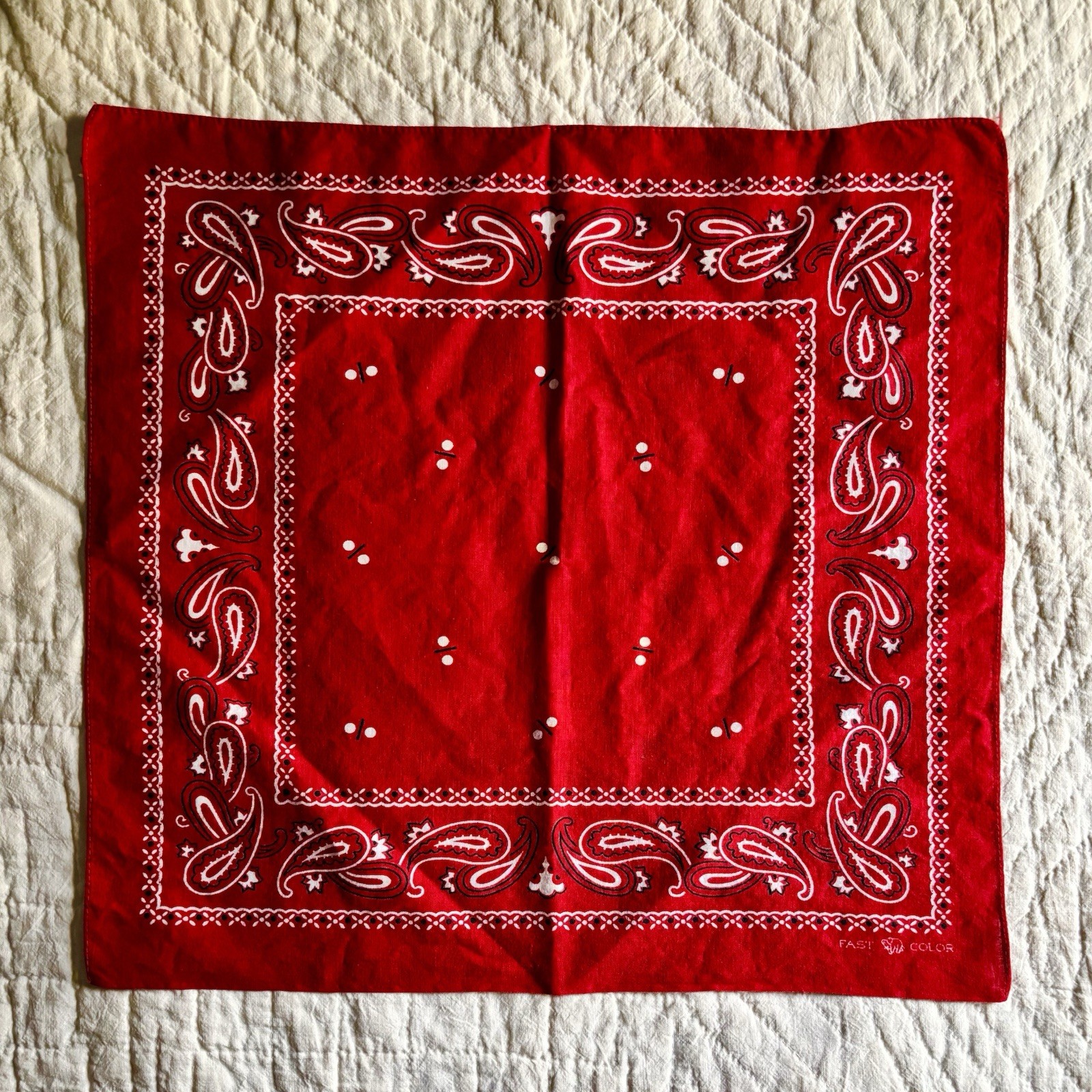 Pair 2 Lot Vintage 1930s Elephant Trunk Down Bandanas Paisley Selvedge Pair 2 Lot Vintage 1930s Elephant Trunk Down Bandanas Paisley Selvedge