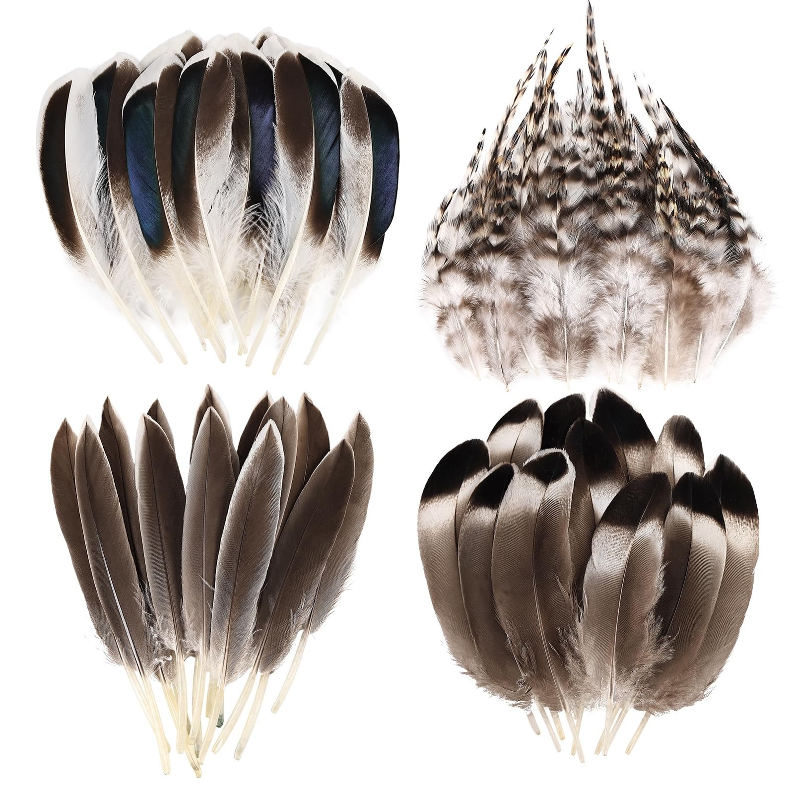THARAHT 120pcs Natural Feathers Small 4 Styles Bulk for Mix Feathers-brown-2 THARAHT 120pcs Natural Feathers Small 4 Styles Bulk for Mix Feathers-brown-2