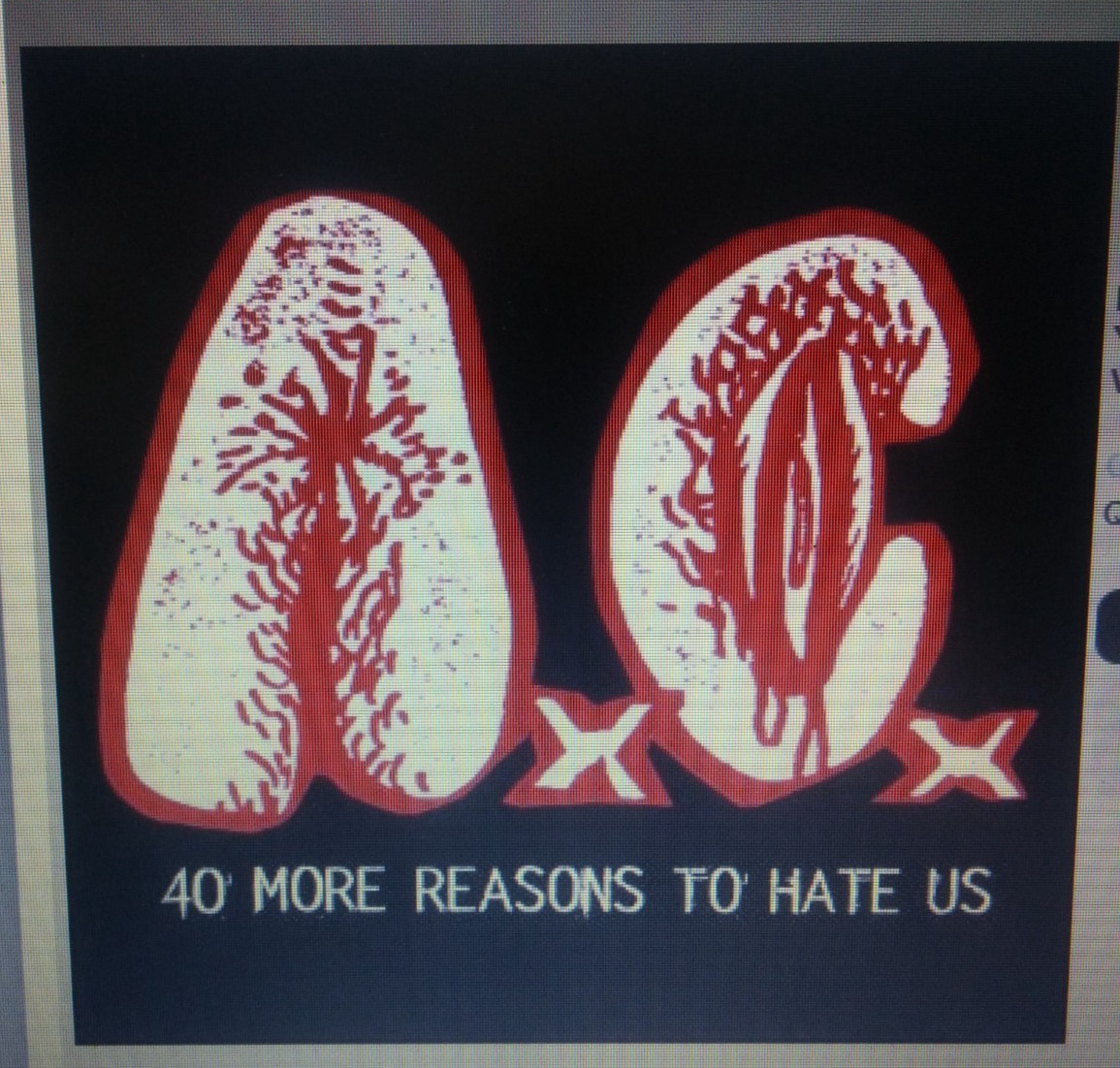ANAL CUNT LP 40 MORE REASONS TO HATE US RARE SETH PUTNAM GRIND METAL MINT NEW