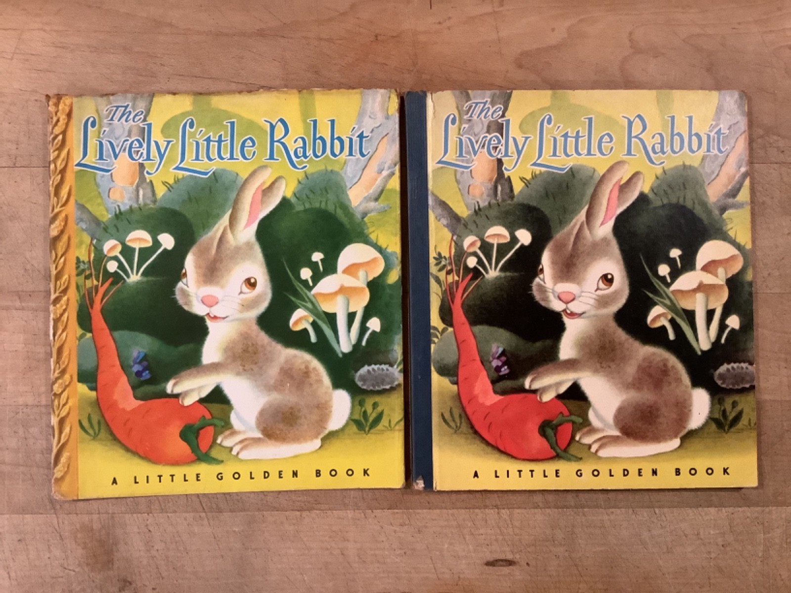 VINTAGE 1945 LITTLE GOLDEN BOOK #15 THE Lively Little Bunny W/ DUST JACKET VINTAGE 1945 LITTLE GOLDEN BOOK #15 THE Lively Little Bunny W/ DUST JACKET