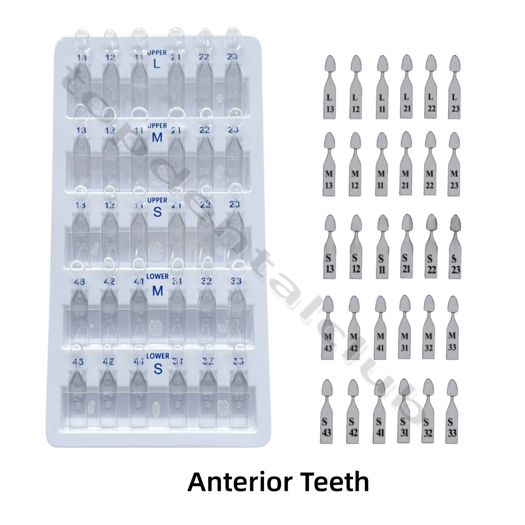Dental Aesthetic Printing Restoration Filling Tool Anterior Posterior Teeth