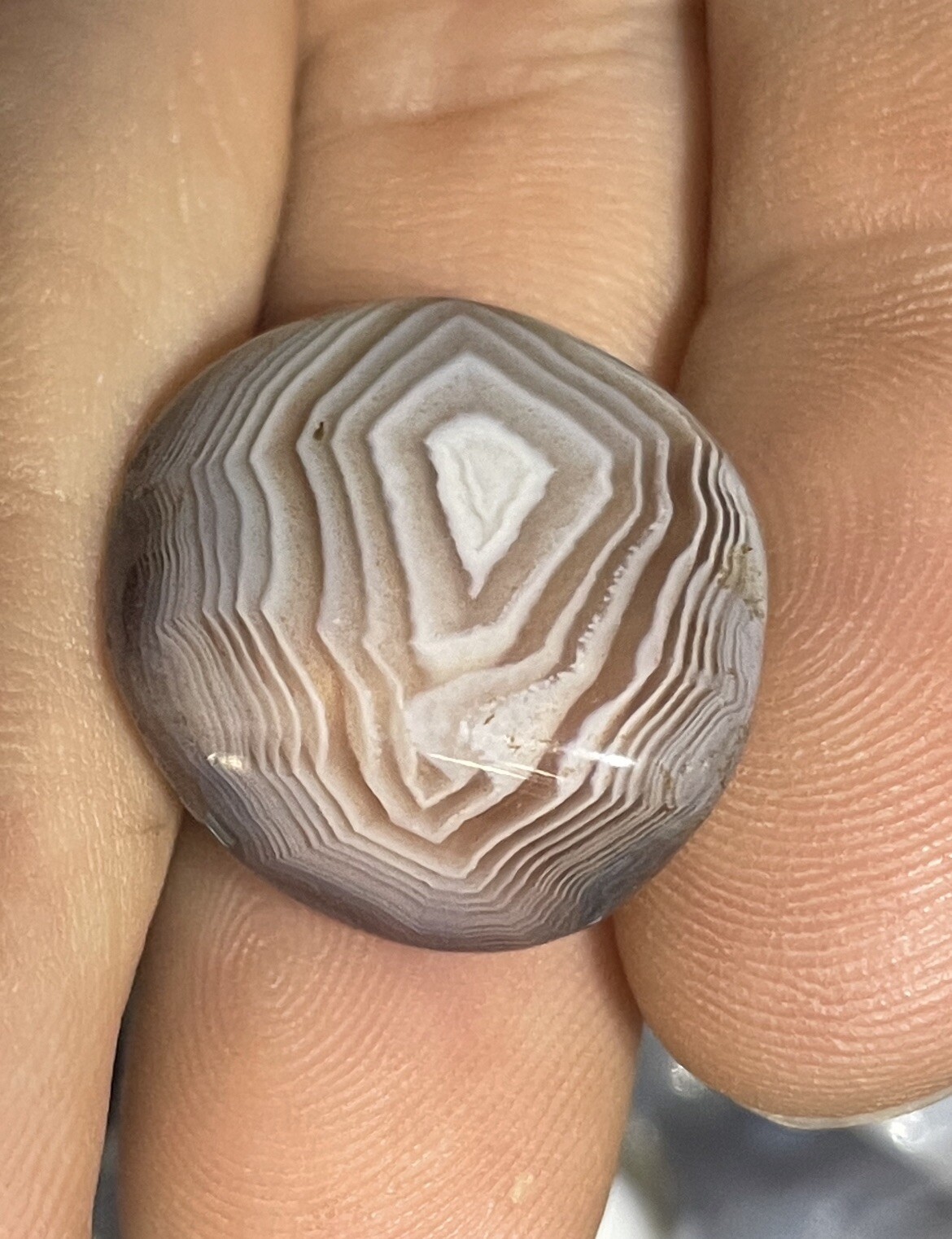 Unique Collector Quality Botswana Agate Unique Collector Quality Botswana Agate