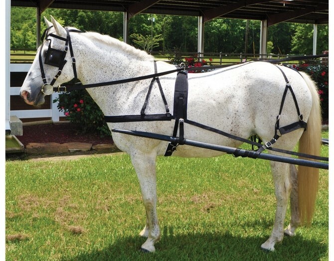 Horse Driving Harness - Black Nylon - Horse Size - Low Maintenance