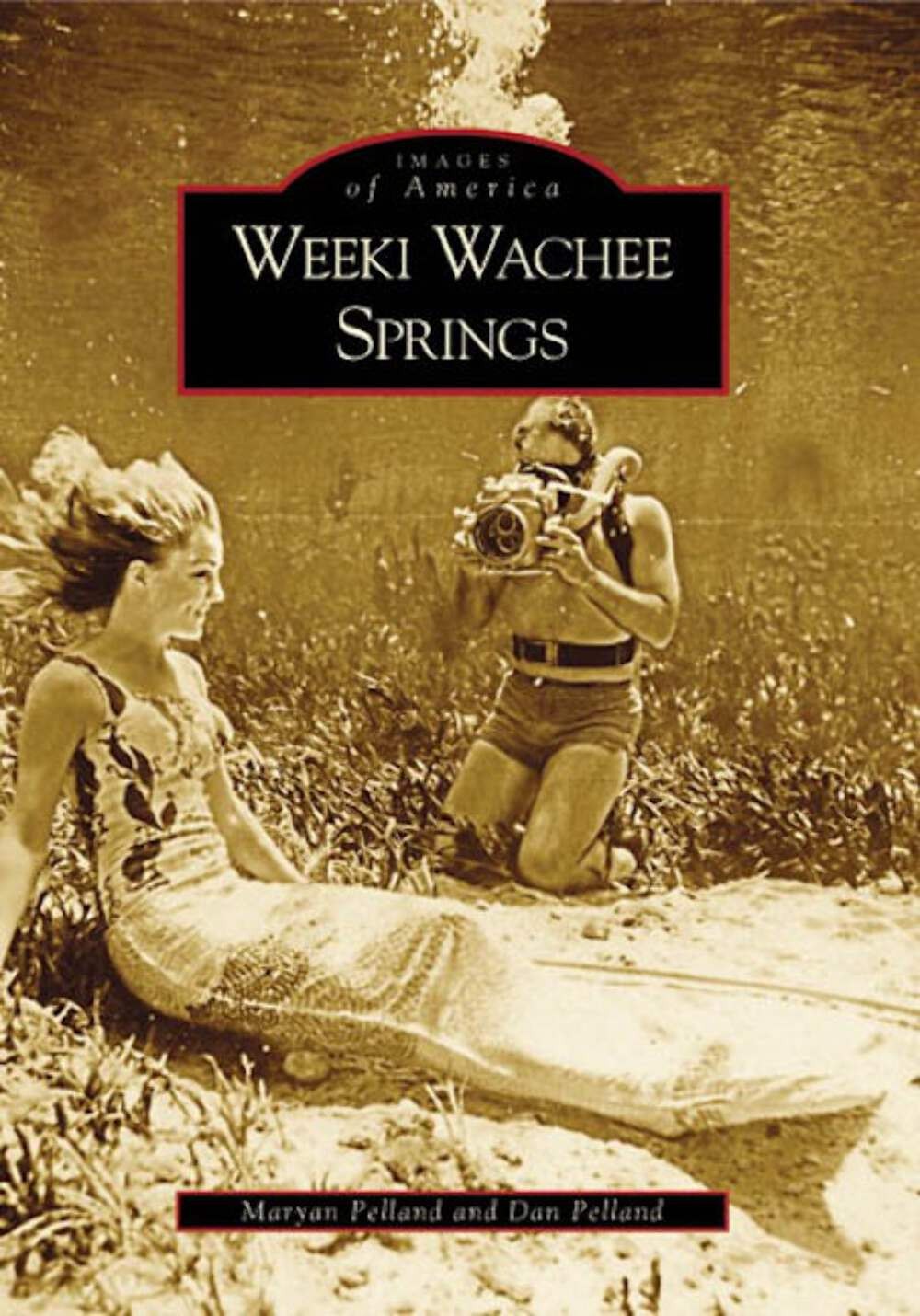 NEW Arcadia Publishing Weeki Wachee Springs, FL 9780738542478 Images of America
