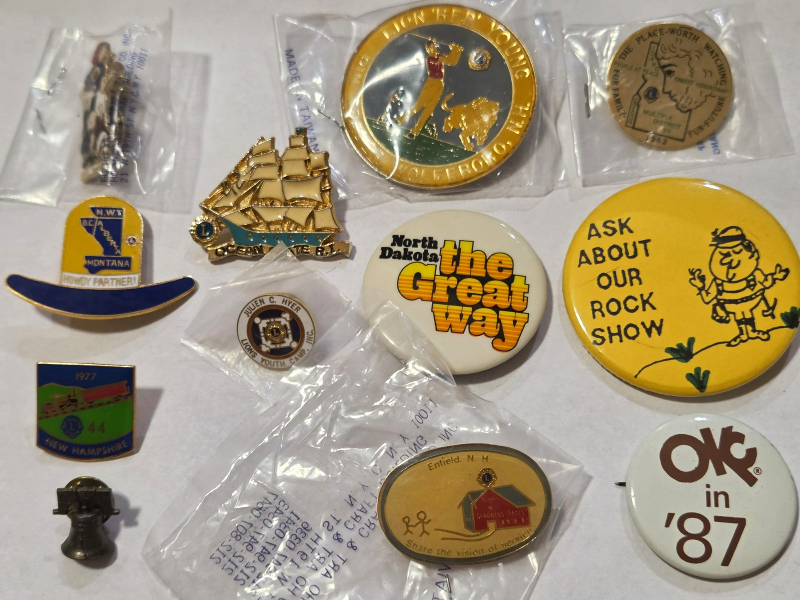 Lot of 12 Vintage Lions Club Pins 1970s-1980s - State,District Convention Trader